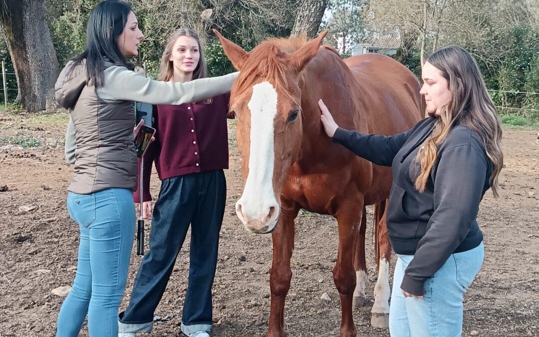 Retraites Parent – Adolescent en juin, juillet et octobre 2026